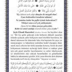 Mahmud Efendi Hazretlerinden Mesmu Edebi ve İrfani Şiirler 