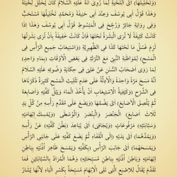 Halebî Sağîr (Kelime Manalı) 2 CİLT 